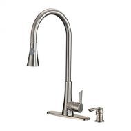 Dyconn Faucet TB001-A18BN Celtic Single Handle Pull-Out Kitchen Faucet with Soap Dispenser