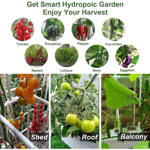  E SUPEREGROW Big Smart Hydroponics Growing System Self Watering Planter Indoor garden for Big Climbing Plants with Built-in Pump and Smart Reminder plus 60 Climbing Trellis Super Indoor hydropo