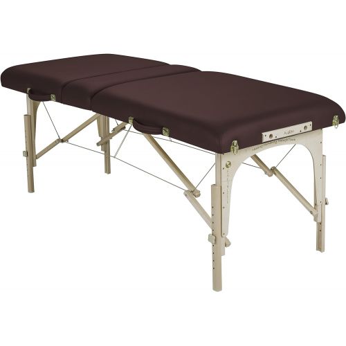  EARTHLITE Portable Massage Table Package AVALON TILT  Reiki Endplate, Premium Flex-Rest Face Cradle & Strata Cushion, Carry Case (30”x73”)