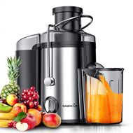 [아마존베스트]Easehold Juicer Machines Extractor 600W Centrifugal Juicers Electric Anti-Drip Dual Speed BPA-Free with Juice Jug and Pulp Container for Fruit Vegetable