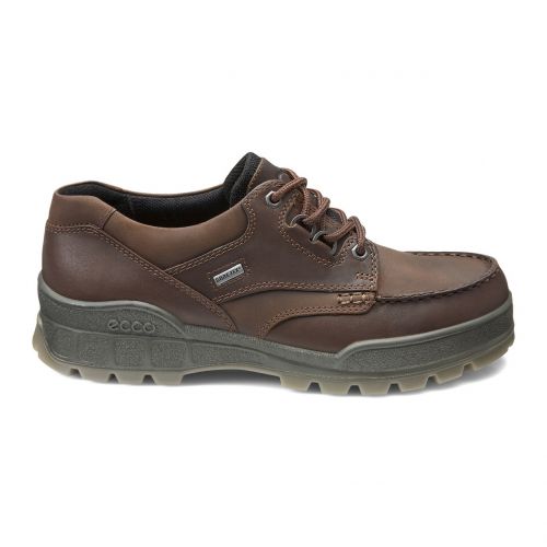  ECCO Ecco Mens Track II Low GORE-TEX waterproof outdoor hiking shoe