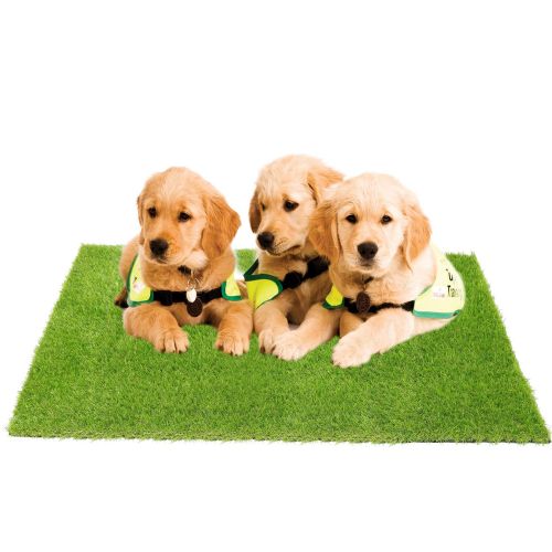  ECO MATRIX Artificial Grass Dog Training Door Mat Pee Pad Fake Grass Doormat Pet Turf Soft Green Lawn Rug Synthetic Grass Carpet