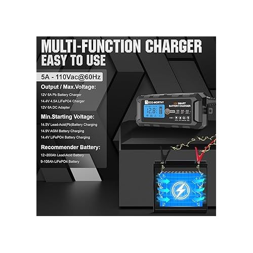  ECO-WORTHY 5Amp 12V Automatic Smart Battery Charger and Maintainer with LCD Display for Lead Acid and Lithium (LiFePO4) Battery