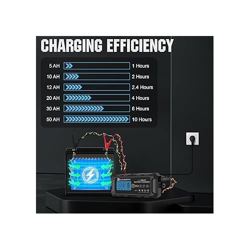  ECO-WORTHY 5Amp 12V Automatic Smart Battery Charger and Maintainer with LCD Display for Lead Acid and Lithium (LiFePO4) Battery