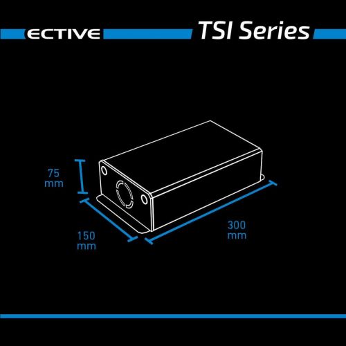  [아마존베스트]-Service-Informationen ECTIVE 500W 12V to 230V Pure Sine Wave Inverter TSI 5 with Integrated NVS and UPS Function