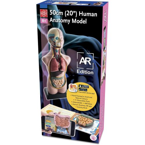  EDU-TOYS Elenco EDU-41007AR 20 Anatomy A.R. Version Building Model Kit