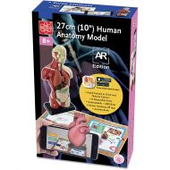 EDU-TOYS Elenco 10 Human Anatomy A.R. Bulding Model Kit