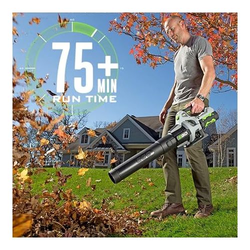  EGO Power+ ST1502LB 15-Inch Cordless String Trimmer & 530CFM Blower Combo Kit with 2.5Ah Battery and Charger Included, Black