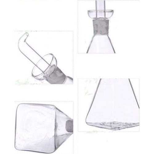  Eleton Square Bottom 14 oz Oil & Vinegar Cruet with Drip-free Spouts,Kitchen Clear Glass Oil Bottle Jar