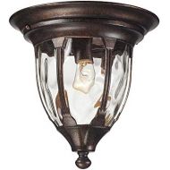 ELK Elk 450041 Glendale 1-Light Outdoor Flush Mount with Water Glass Shade, 11 by 11-Inch, Regal Bronze Finish