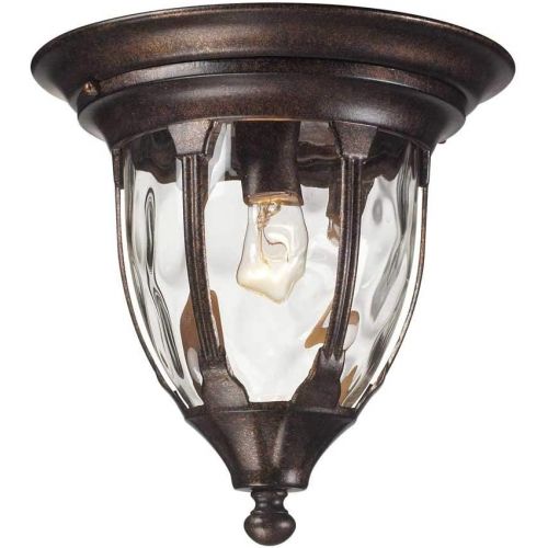  ELK Elk 450041 Glendale 1-Light Outdoor Flush Mount with Water Glass Shade, 11 by 11-Inch, Regal Bronze Finish