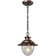 ELK Elk 450311 Searsport 1-Light Outdoor Pendant with Water Glass Diffuser, 8 by 10-Inch, Regal Bronze Finish