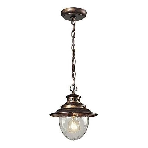  ELK Elk 450311 Searsport 1-Light Outdoor Pendant with Water Glass Diffuser, 8 by 10-Inch, Regal Bronze Finish