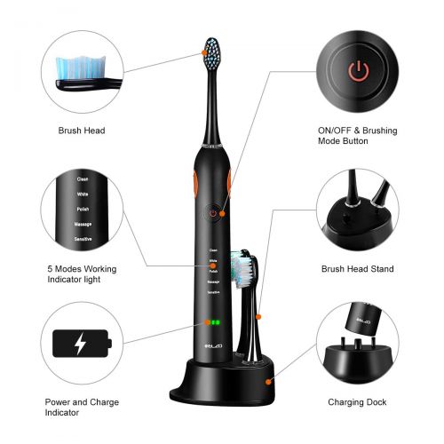  ELZO Electric Toothbrush Rechargeable for Adults, 5 Modes with 2 Min Build in Timer, IPX7 Waterproof with...