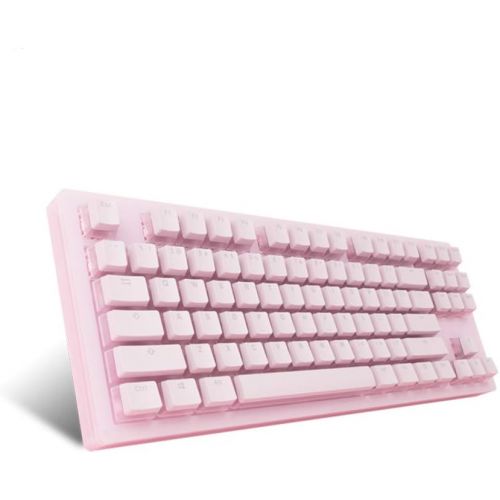  EPOMAKER AKKO Sakura 87 Keys RGB Wired Mechanical Keyboard with Acrylic Translucent Case, PBT Pudding Keycaps for Gaming/Mac/Win (Gateron Pink Switch, Sakura)