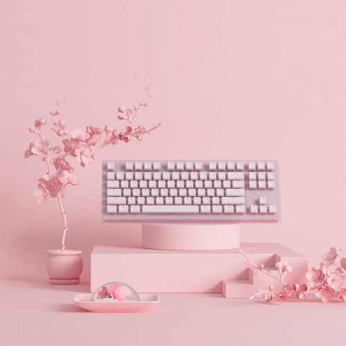  EPOMAKER AKKO Sakura 87 Keys RGB Wired Mechanical Keyboard with Acrylic Translucent Case, PBT Pudding Keycaps for Gaming/Mac/Win (Gateron Pink Switch, Sakura)