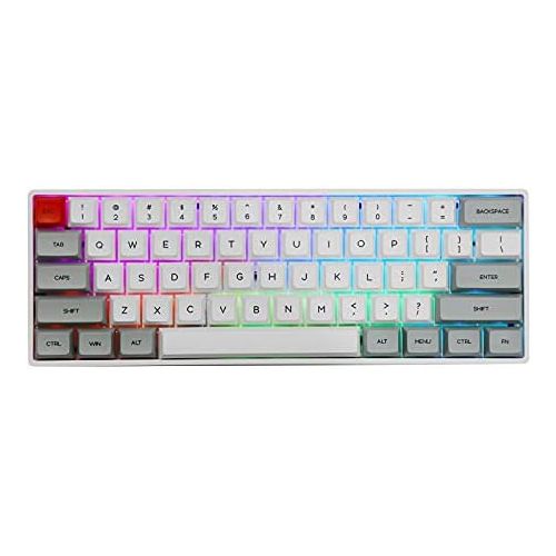  EPOMAKER SKYLOONG SK61 61 Keys 60% Hot Swappable Programmable Mechanical Gaming Wired Keyboard with RGB Backlit, NKRO, Water-Resistant, Type-C Cable for Win/Mac/Gaming (Gateron Opt