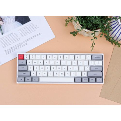  EPOMAKER SKYLOONG SK61 61 Keys 60% Hot Swappable Programmable Mechanical Gaming Wired Keyboard with RGB Backlit, NKRO, Water-Resistant, Type-C Cable for Win/Mac/Gaming (Gateron Opt