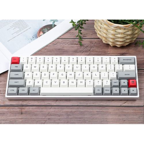  EPOMAKER SKYLOONG SK64 64 Keys Hot Swappable Mechanical Keyboard with RGB Backlit, PBT Keycaps, Arrow Keys for Win/Mac/Gaming (Gateron Optical Red, Grey White)