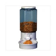 ERGO Ergo Systems Auto Pet Feeder, Medium, Gray