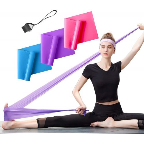  ERUW Resistance Bands Set, 3 Pack Professional Latex Elastic Bands for Home or Gym Upper & Lower Body Exercise, Physical Therapy, Strength Training, Yoga, Pilates, Rehab, Blue & Purple