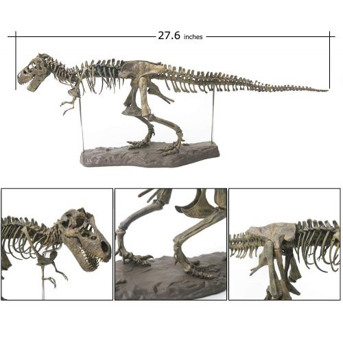  ESALINK T-Rex Replica Skeleton Model Assembly Saft PVC Non-Toxic and Eco-Friendly 3D Puzzles Dinosaur Simulation Edu-Toys