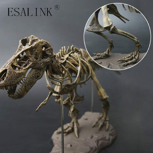  ESALINK T-Rex Replica Skeleton Model Assembly Saft PVC Non-Toxic and Eco-Friendly 3D Puzzles Dinosaur Simulation Edu-Toys