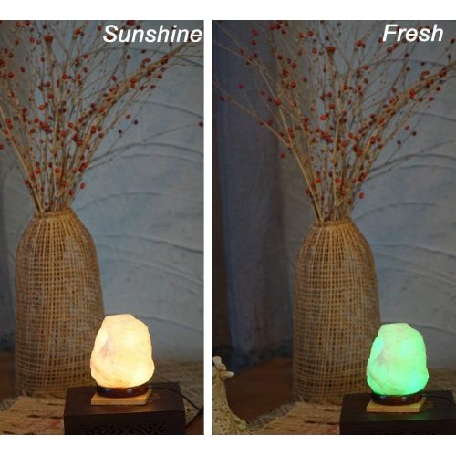  [아마존핫딜][아마존 핫딜] ESOW Himalayan Salt Lamp in Multi Color Changing, 3 Watts LED Bulb and Wood Base, Small Size About 4.7/1.6lbs, Handcraft Natural Salt Lamp for Best Gift and Great Decor, No Install