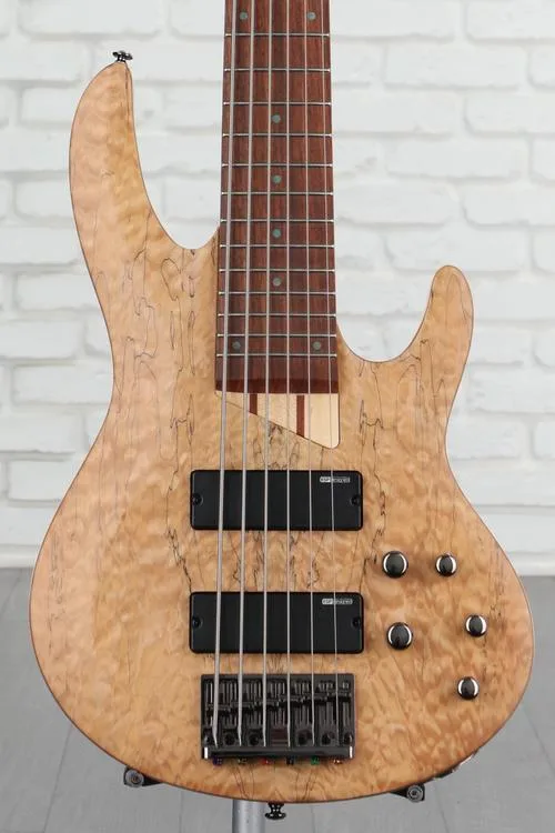 ESP LTD B-206SM Bass Guitar - Natural Satin Demo