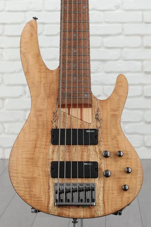 ESP LTD B-206SM Bass Guitar - Natural Satin