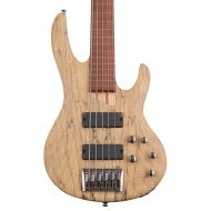 ESP LTD B-205SM Fretless Bass Guitar - Natural Satin