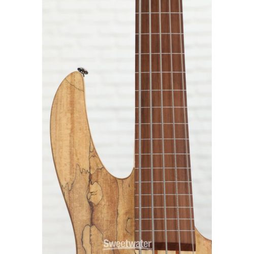  ESP LTD B-205SM Fretless Bass Guitar - Natural Satin