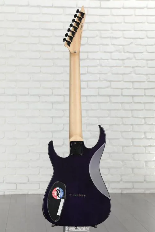  ESP LTD Brian 