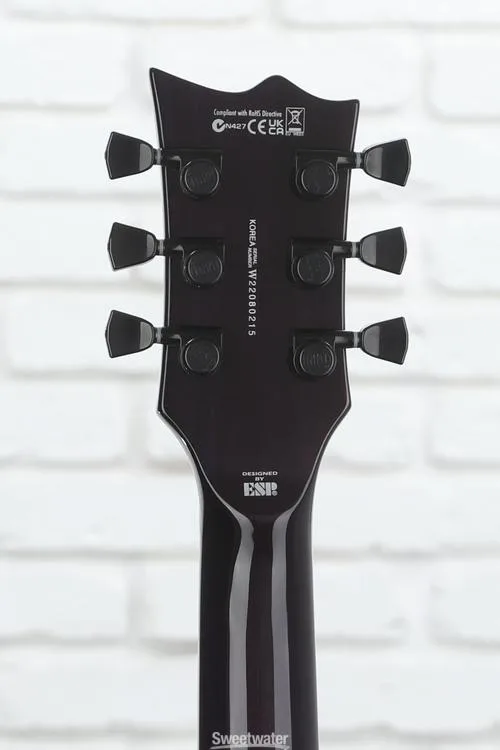  ESP LTD EC-1000 Electric Guitar - See Thru Purple