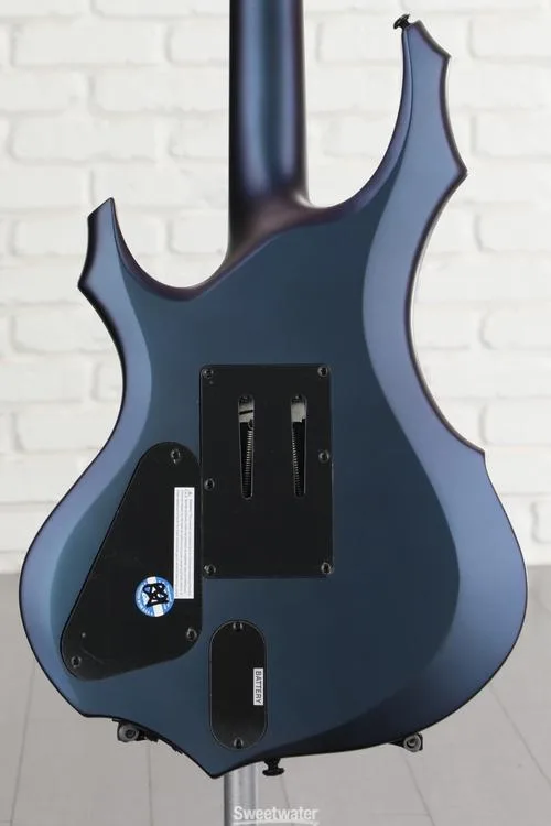  ESP LTD F-1001 Electric Guitar - Violet Andromeda Stain