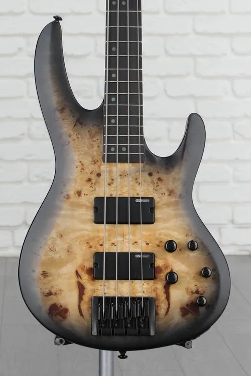 ESP LTD B-4 Ebony Bass Guitar - Charcoal Burst Satin Demo