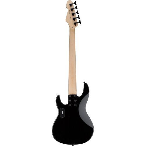  ESP Guitars ESP LTD AP-5 5-String Bass Guitar, Black