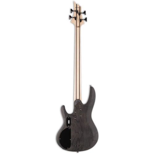  ESP Guitars ESP LTD B-204SM Spalted Maple Bass Guitar, See Thru Black Satin