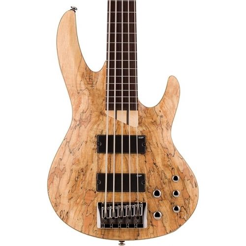  ESP LTD B-205SM FL Fretless Spalted Maple 5-String Bass Guitar, Natural Satin