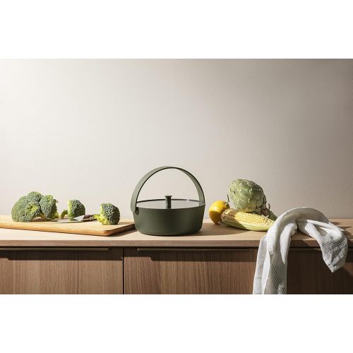  EVA SOLO Microwave steamer, green tool, after just a few minutes in the Microwave at 900 watts, the vegetables are cooked