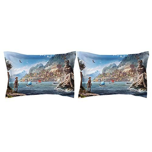  EVDAY 3D Assassins Creed Duvet Cover Set for Boys Ultra Soft Breathable Comfortable Lightweight Durable 3PC Quilt Cover Including 1Duvet Cover,2 Pillowcases King Queen Full Twin Si