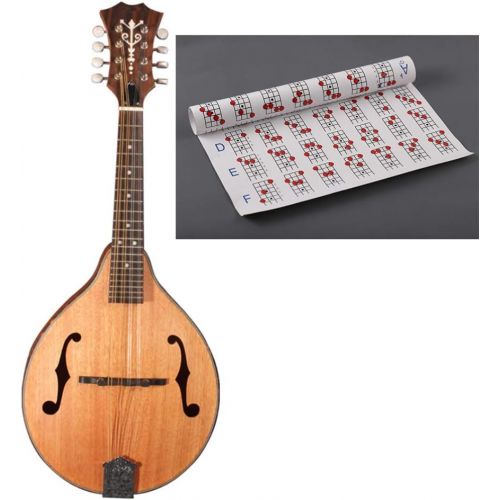  [아마존베스트]Exceart Mandolin Chords Music Stand Chord Charts Paper Fingering Guide Practice Chart Size S