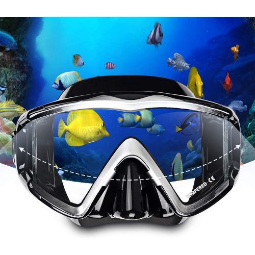  EXP VISION Snorkel Set, Dry Top Snorkel Mask Anti-Leak for Women and Men, Anti-Fog Snorkeling Gear Free Breathing,Tempered Glass Swimming Diving Scuba Goggles 180° Panoramic View