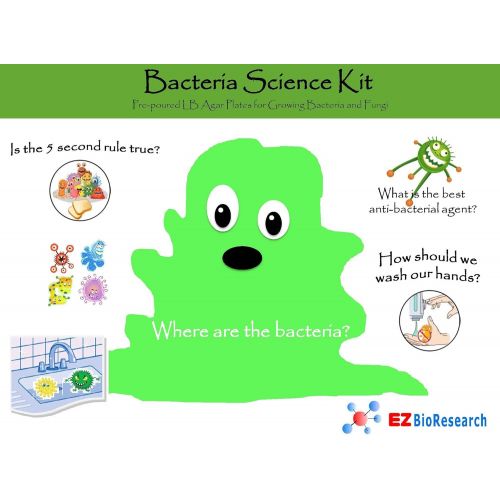  [아마존베스트]EZ BioResearch Bacteria Science Kit (IV): Top Science Fair Project Kit. Prepoured LB-Agar Plates And Cotton Swabs. Exclusive Free Science Fair Project E-Book Packed With Award Winn