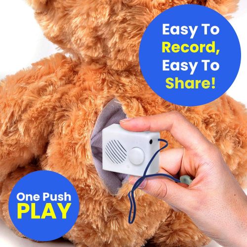  [아마존베스트]EZSound Box - 10 inch Extension Play Button for Stuffed Animals, Craft Projects, School Presentations, Hobbies, Personalized Items, Model Trains, etc - 200 seconds - Rerecordable t