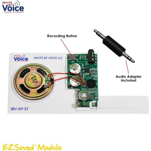  [아마존베스트]EZSound Module for DIY Audio Cards - Easy to Record - 120 Seconds Recording - High Sound Quality