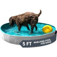 EZwhelp Foldable Dog Pool - Collapsible Pool for Dogs, Puppies - Portable, Sturdy, Space-Saving - Ideal for Bathing and Whelping, Care Solution - 62