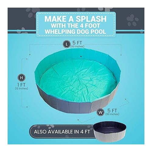  EZwhelp Foldable Dog Pool - Collapsible Pool for Dogs, Puppies - Portable, Sturdy, Space-Saving - Ideal for Bathing and Whelping, Care Solution - 62