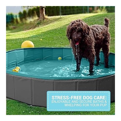  EZwhelp Foldable Dog Pool - Collapsible Pool for Dogs, Puppies - Portable, Sturdy, Space-Saving - Ideal for Bathing and Whelping, Care Solution - 62