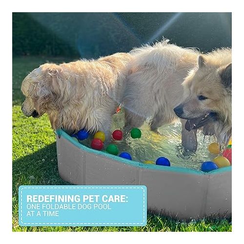  EZwhelp Foldable Dog Pool - Collapsible Pool for Dogs, Puppies - Portable, Sturdy, Space-Saving - Ideal for Bathing and Whelping, Care Solution - 62